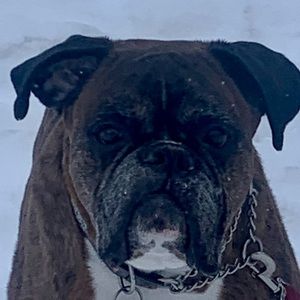 Meet your Posher, Olivia